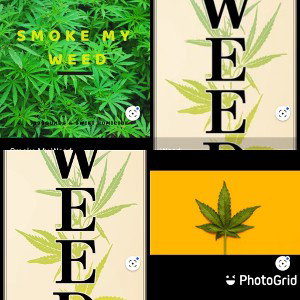weed