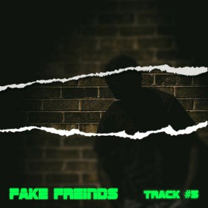Fake freinds 