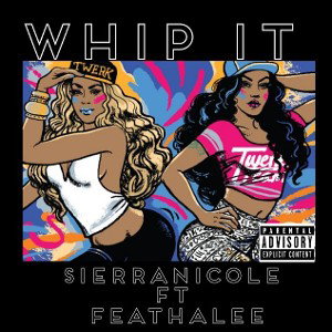 💃🤟🏽😜WHIP IT 🤟🏽😜💃