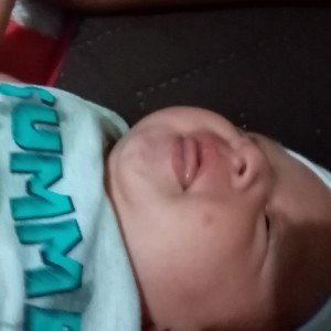 sepeseg