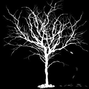 BRANCHED OFF