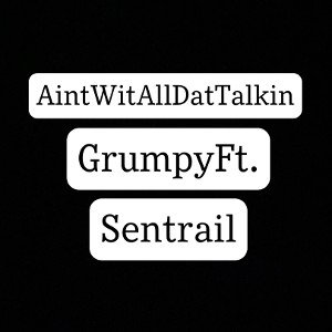 AintwitAllthatTalkin