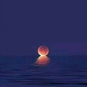 Never lose hope