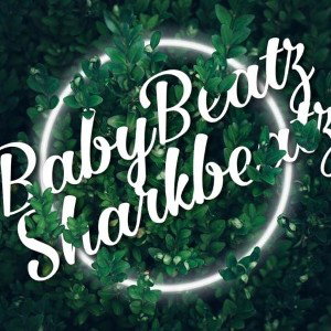 King :by babybeatzsharkbeatz 25€