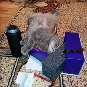 Это приложение