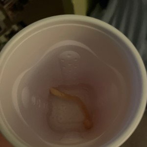 fries in my sprite cup