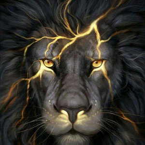 I will rise again🔥