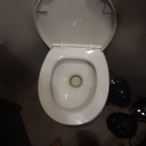I need to take a shit really bad 