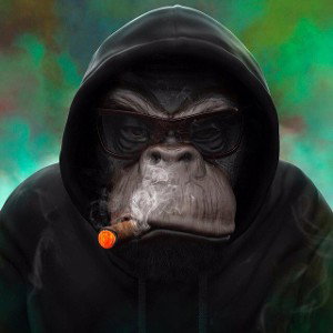 MF Grimm - Freestyle(4:20)