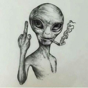 Fck Everything