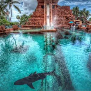           BAHAMAS  🇧🇸            