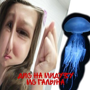 Дис на МИДУЗУ 