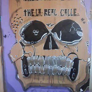 thelarealcalle desde el norte 149