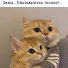 Какадуша