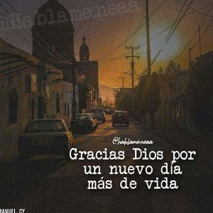sentido
