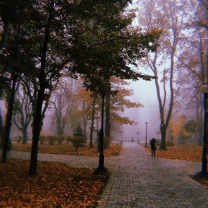 Рокки 