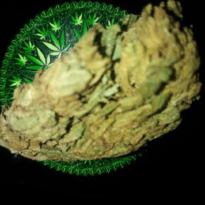 NiCarcelCancer(escuchar) 