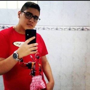 está va para fénix music