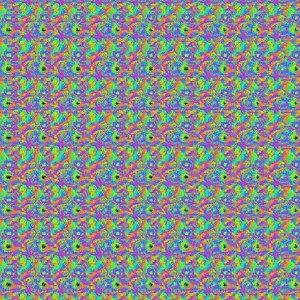 Show Your True Colors - Sekluce