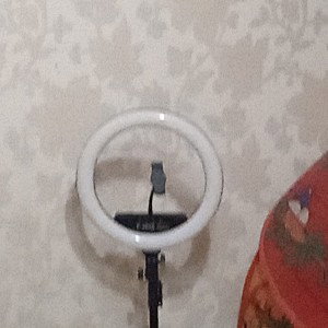 котлета 