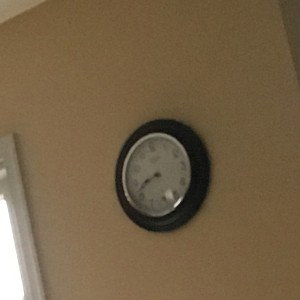 FUCCU (08:42)