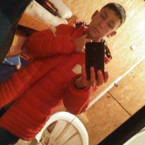 volvi 