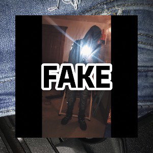 fake