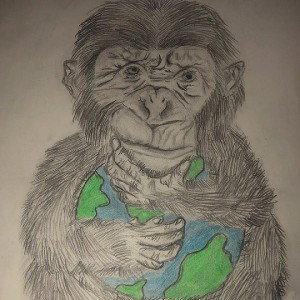 Monkey See Monkey Do 🐒🌎