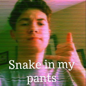 Snake in my pants