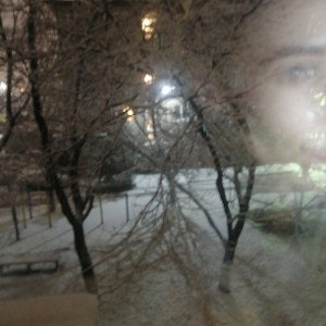 прогноз