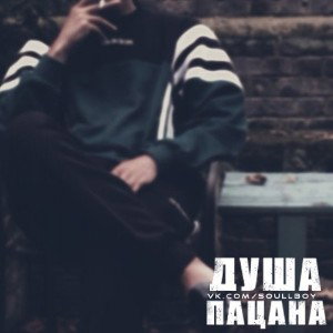 Brodaiga