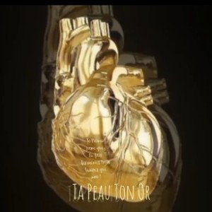 fampCy(FR)-Ta Peau Ton Or(Crush-ingLoop3)