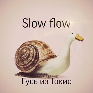 Slow Flow