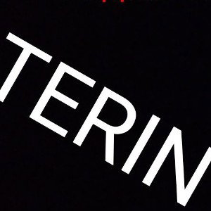 TERIN-Жизненные Роли