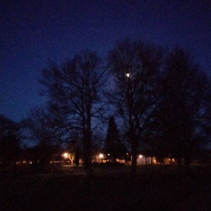 Freeze Morning however... 