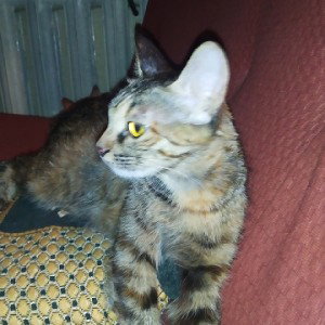 я принимаю наркотик а ты мой х. й в ротик 🤪