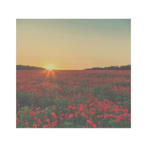 Song For A Girl