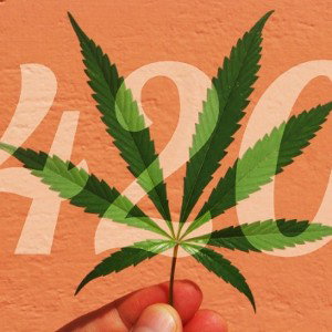 420