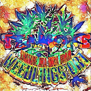 FREESTYLE💯🔥WEEDLINGS ORT!
