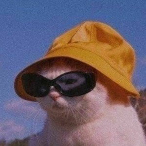 Dany -grime 