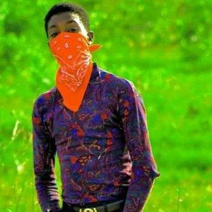 D Celeb life