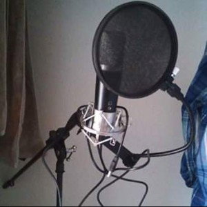 KING OF THA MIC