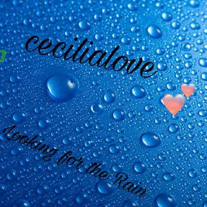 looking for the rain