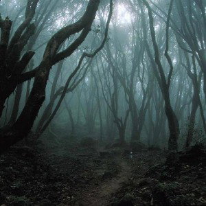 senderos tenebrosos
