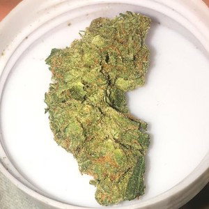 Green Crack
