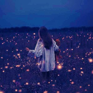 🌟Wizard - Geometria 