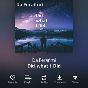 Did_what_i_Did