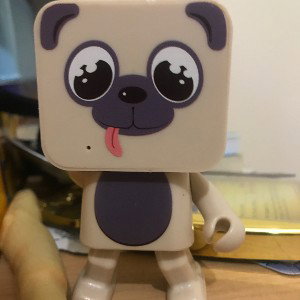 Pug