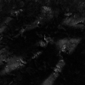 night vision & greedy grammer