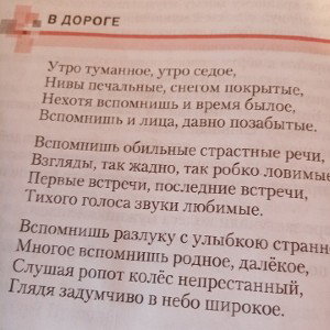 В Дороге